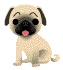 G chien.gif (6497 octets)