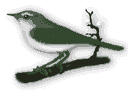 bird005.gif (3143 octets)
