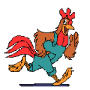 coq1.jpg (3526 octets)