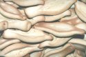 navettes2125.jpg (4501 octets)