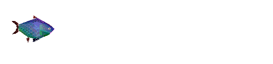 s4.gif (31210 octets)